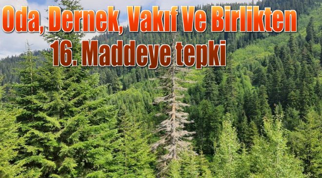 18 Oda, Dernek, Vakıf ve Birlik 16. maddeye tepki gösterdi…