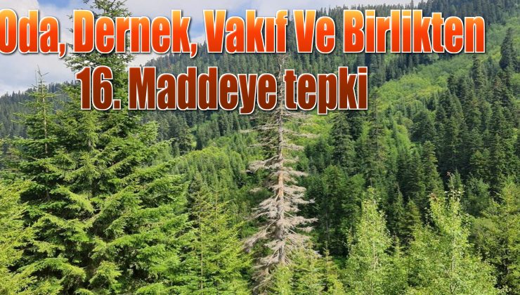 18 Oda, Dernek, Vakıf ve Birlik 16. maddeye tepki gösterdi…